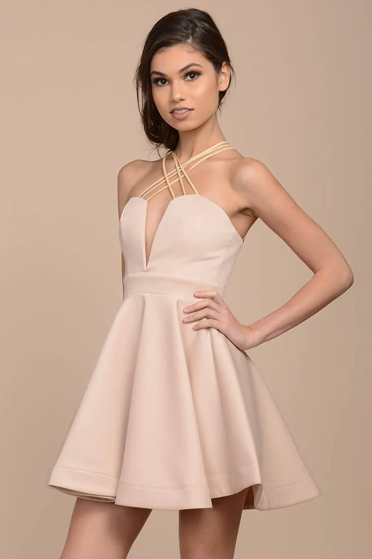 Karrin Fit and Flare Dress Nude