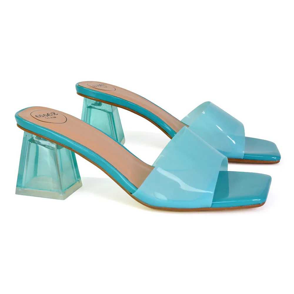 Strawberry Perspex Strappy Square Toe Clear Block Heel Mules in Blue