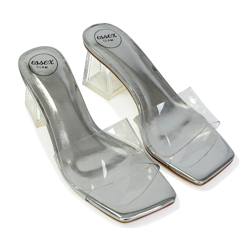 Strawberry Perspex Strappy Square Toe Clear Block Heel Mules in Blue