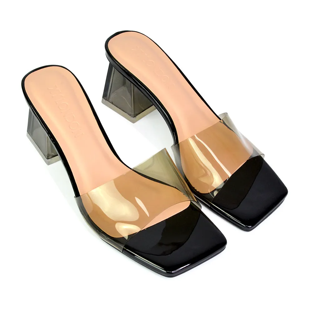 Strawberry Perspex Strappy Square Toe Clear Block Heel Mules in Blue