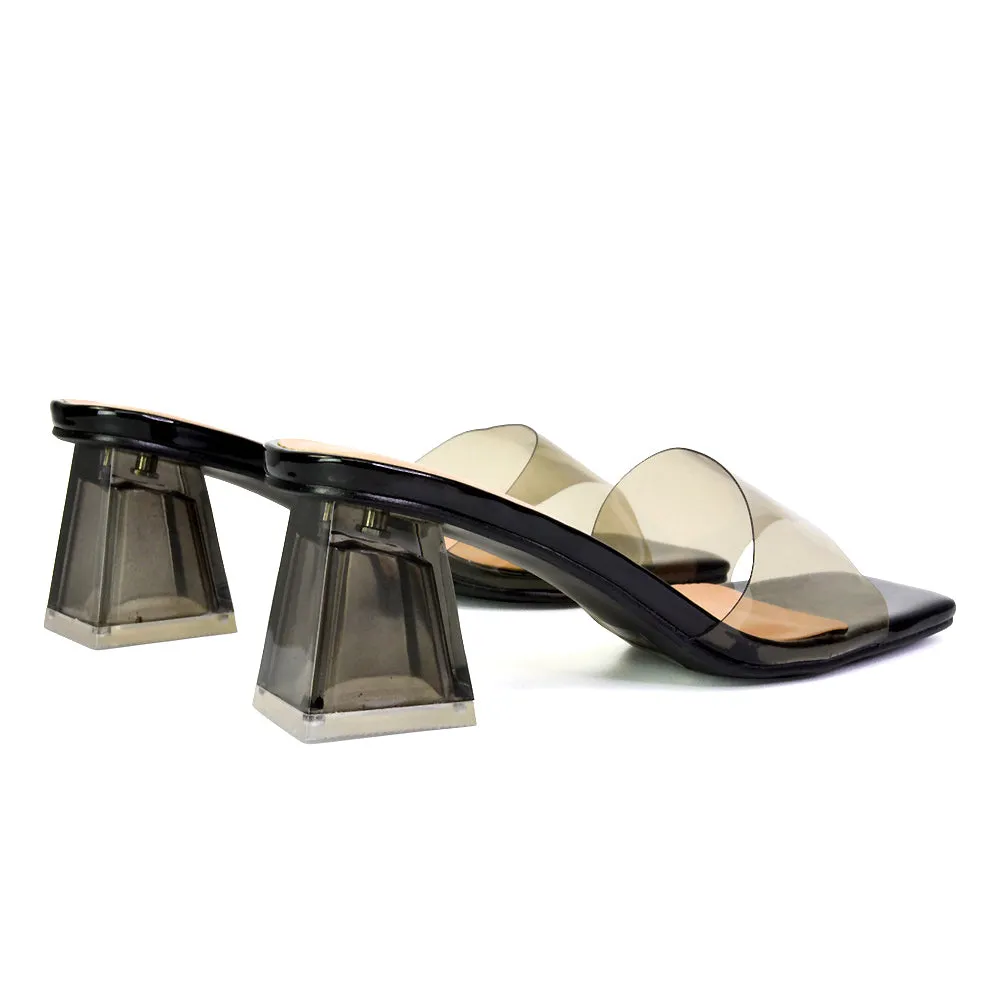 Strawberry Perspex Strappy Square Toe Clear Block Heel Mules in Blue