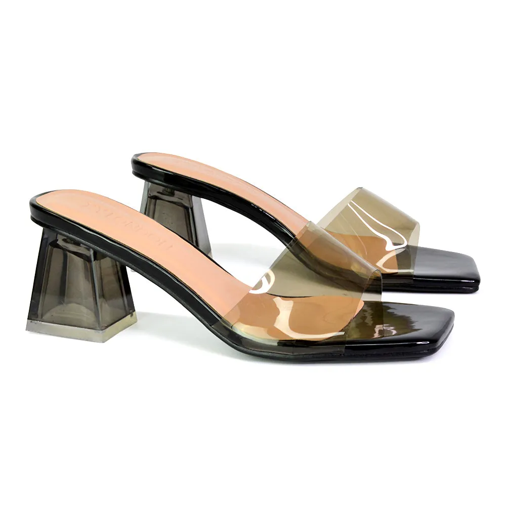 Strawberry Perspex Strappy Square Toe Clear Block Heel Mules in Blue