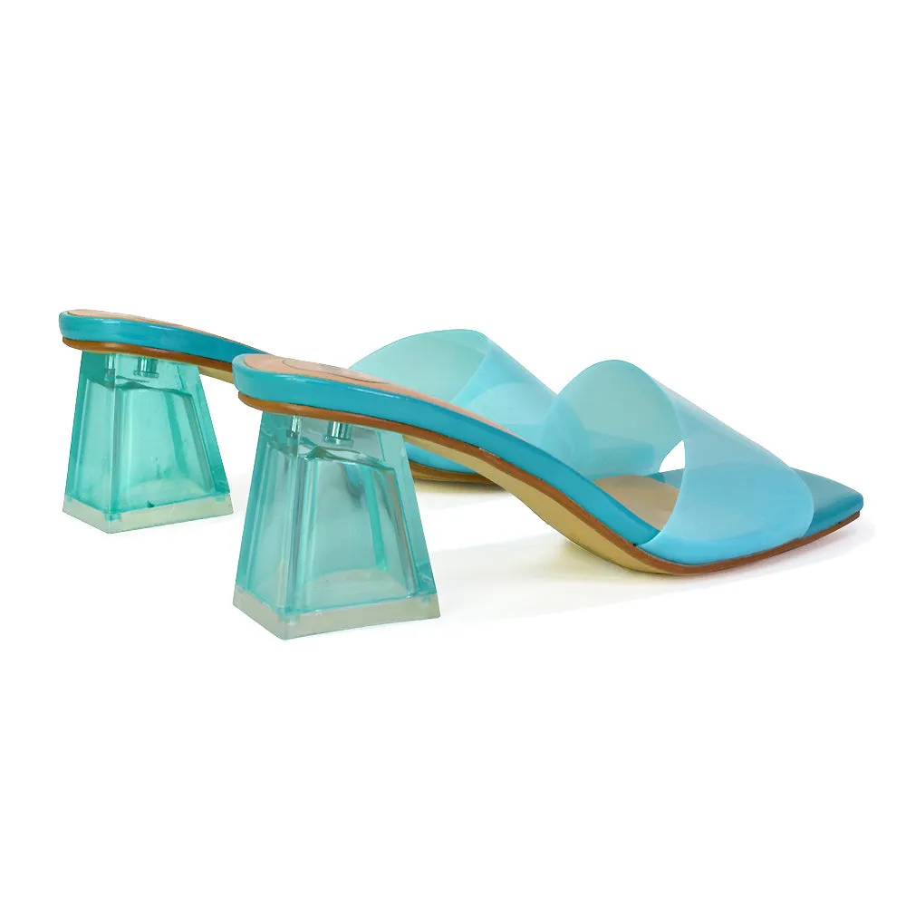 Strawberry Perspex Strappy Square Toe Clear Block Heel Mules in Blue