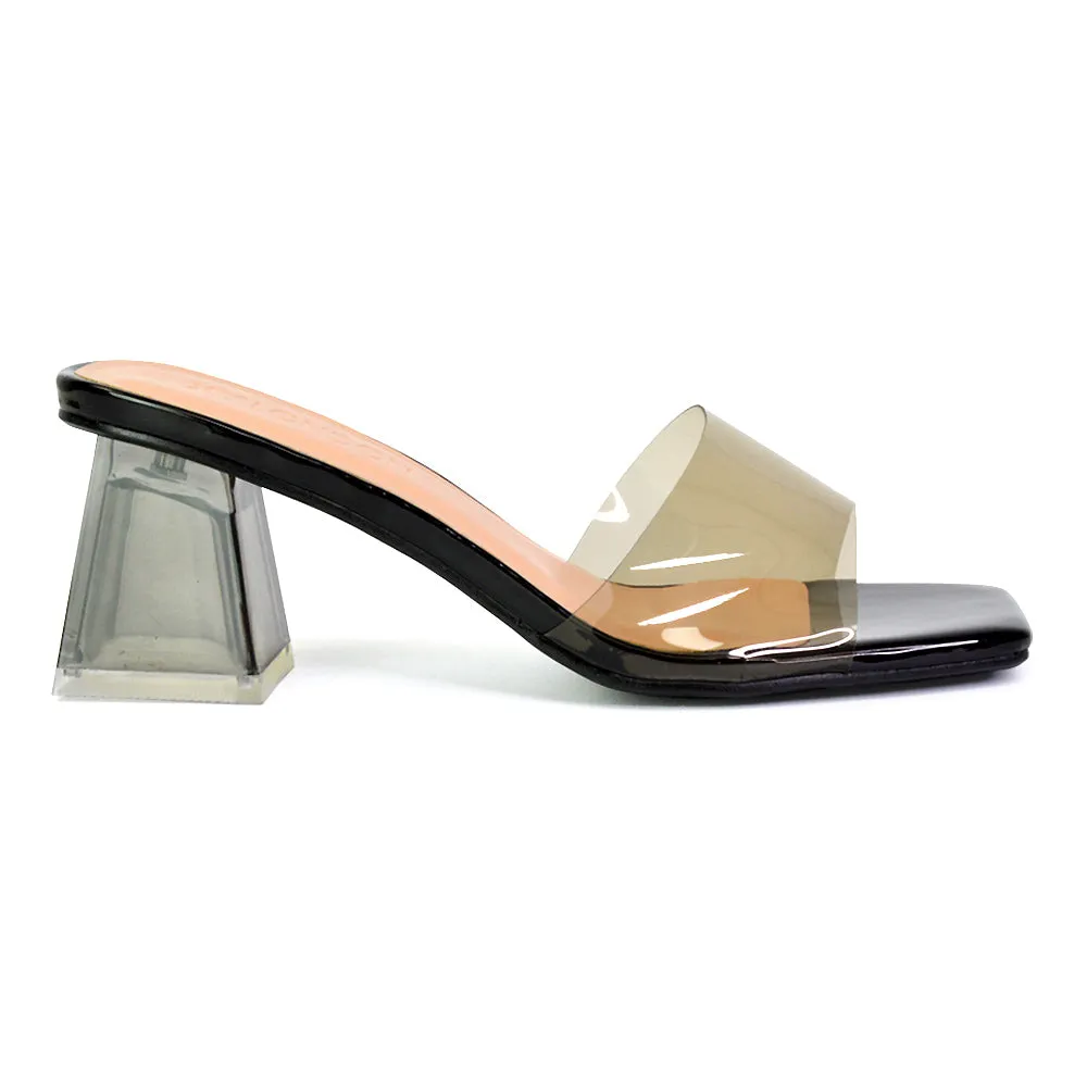 Strawberry Perspex Strappy Square Toe Clear Block Heel Mules in Blue