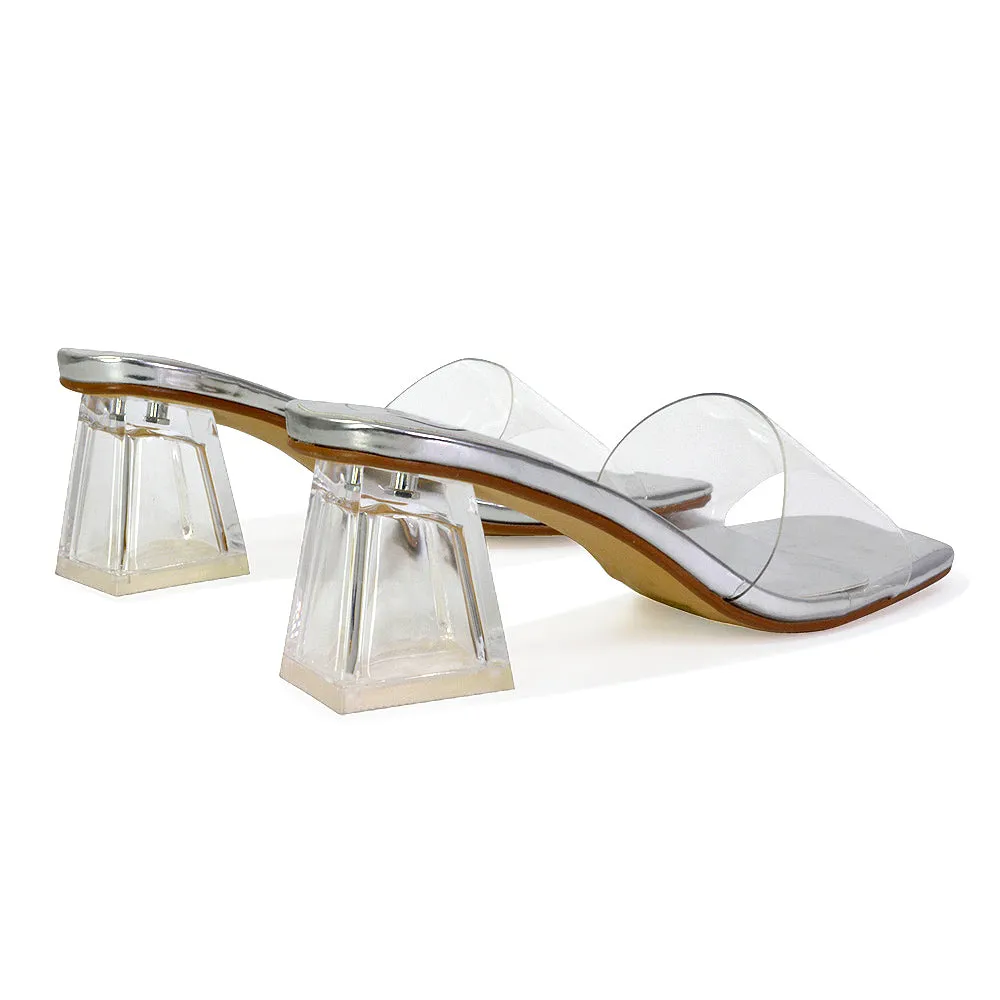 Strawberry Perspex Strappy Square Toe Clear Block Heel Mules in Blue
