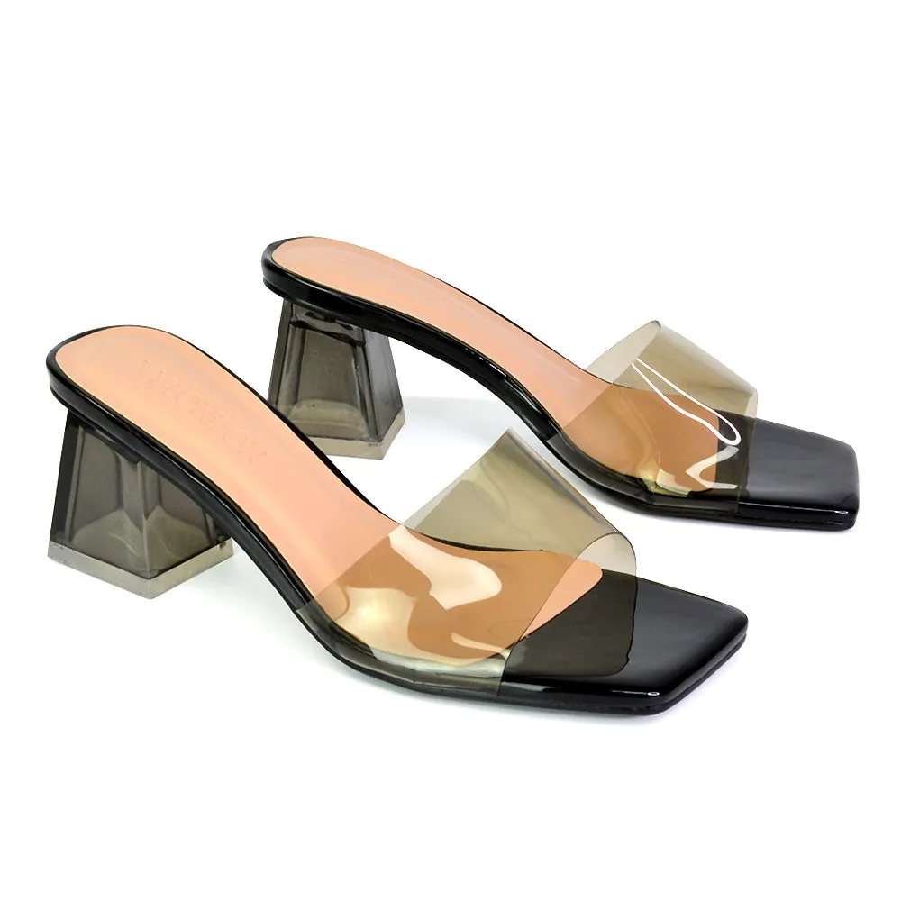 Strawberry Perspex Strappy Square Toe Clear Block Heel Mules in Blue
