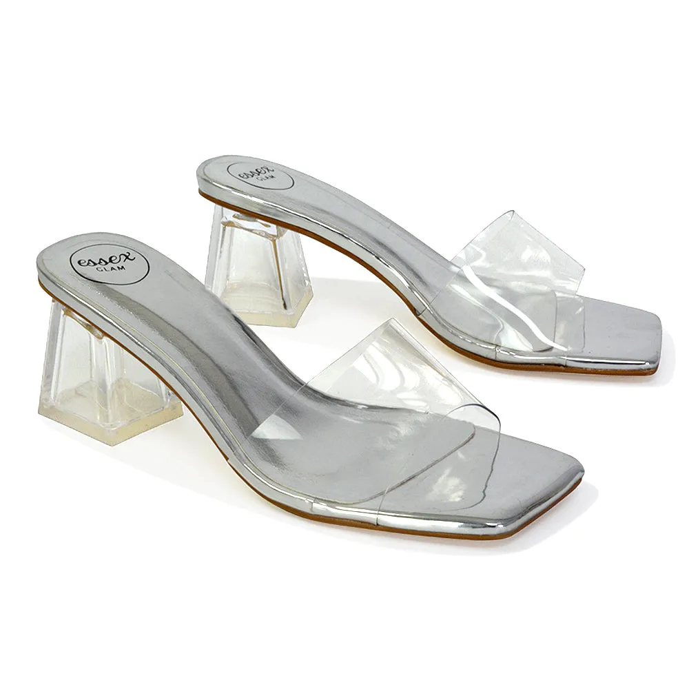 Strawberry Perspex Strappy Square Toe Clear Block Heel Mules in Blue