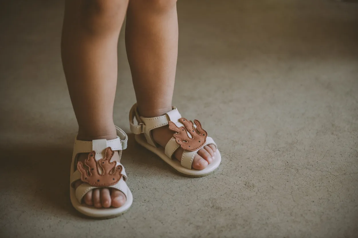 Ushy | Coral | Walnut Nubuck